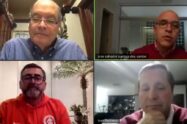 Webinar Regional Sul